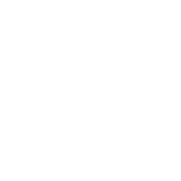 $Expert Team
